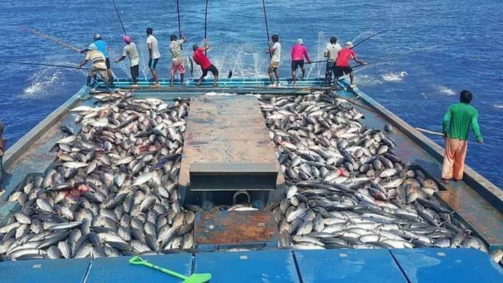 Fishing