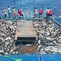 Fishing
