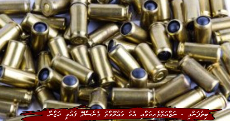 3466CABB-2E49-4173-A5B8-B26A3F85EF6A