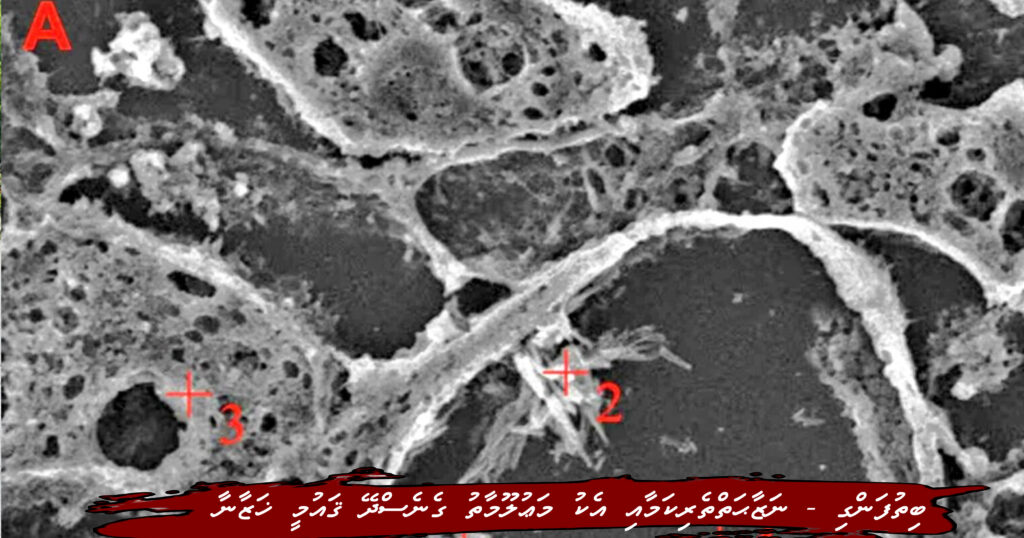 FA8388C0-E3CF-42B1-8A30-D68AB76B335A